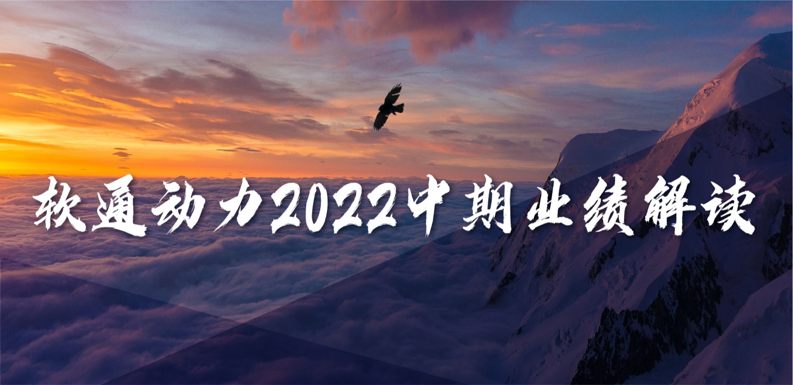 ƹʹapp2022ҵʵΪӪȹһŻӪҵṹ